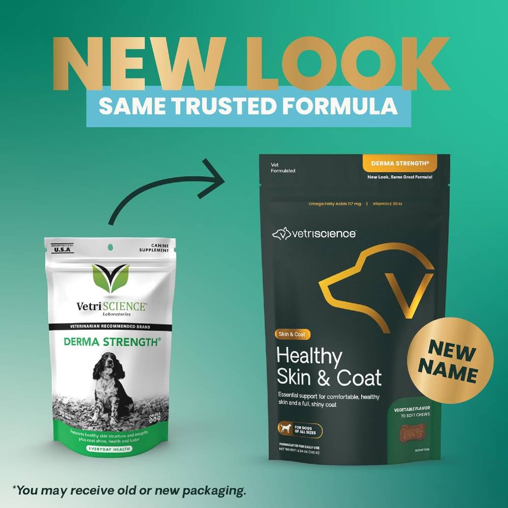 VETRISCIENCE-DERMA-STRENGTH-70-CHEWS