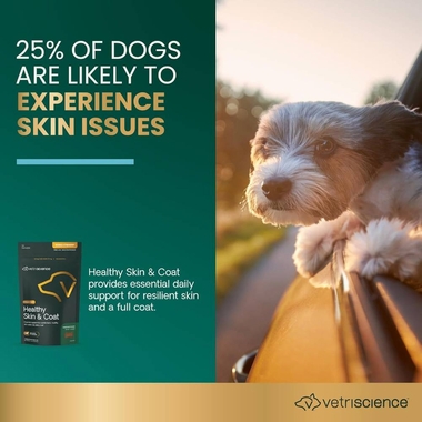 VETRISCIENCE-DERMA-STRENGTH-70-CHEWS