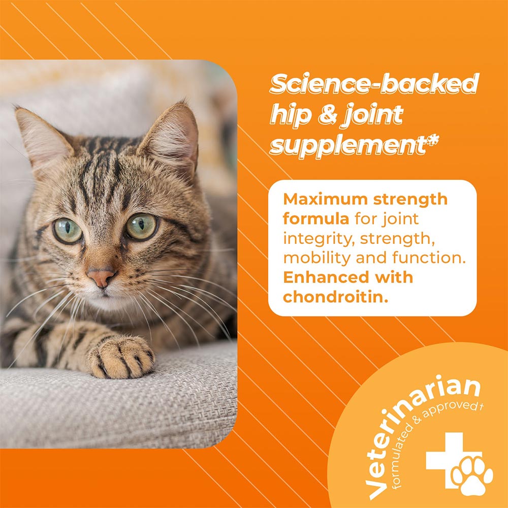 GLYCOFLEX-PLUS-FOR-CATS-30-CHEWS