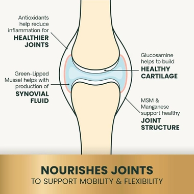GLYCOFLEX-PLUS-FOR-CATS-30-CHEWS