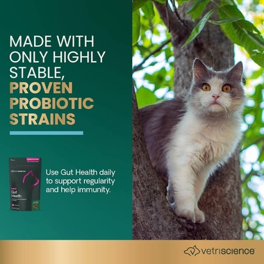 VETRI-SCIENCE-PROBIOTIC-FELINE-30-CHEWS
