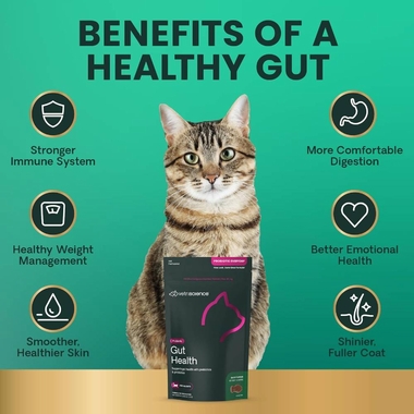 VETRI-SCIENCE-PROBIOTIC-FELINE-30-CHEWS