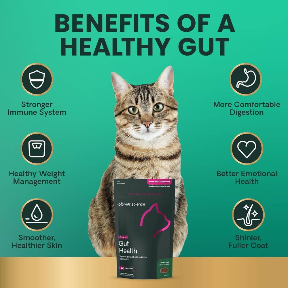 VETRI-SCIENCE-PROBIOTIC-FELINE-30-CHEWS