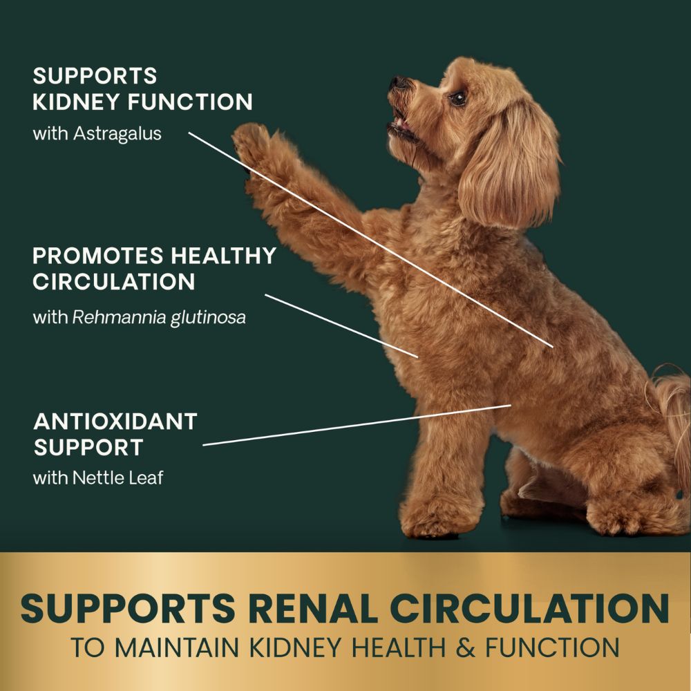 VETRI-SCIENCE-RENAL-ESSENTIALS-CANINE-60-TABLETS