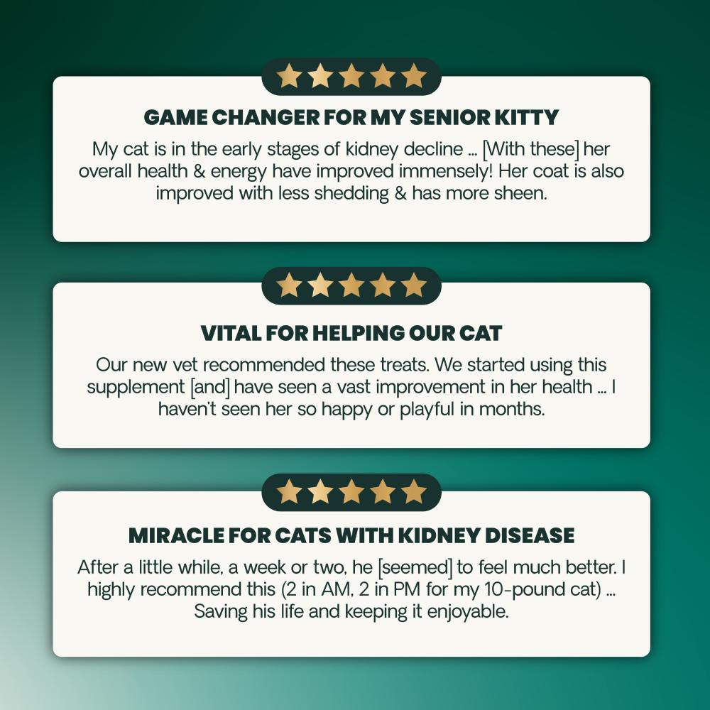 VETRI-SCIENCE-RENAL-ESSENTIALS-FELINE-120-CHEWS