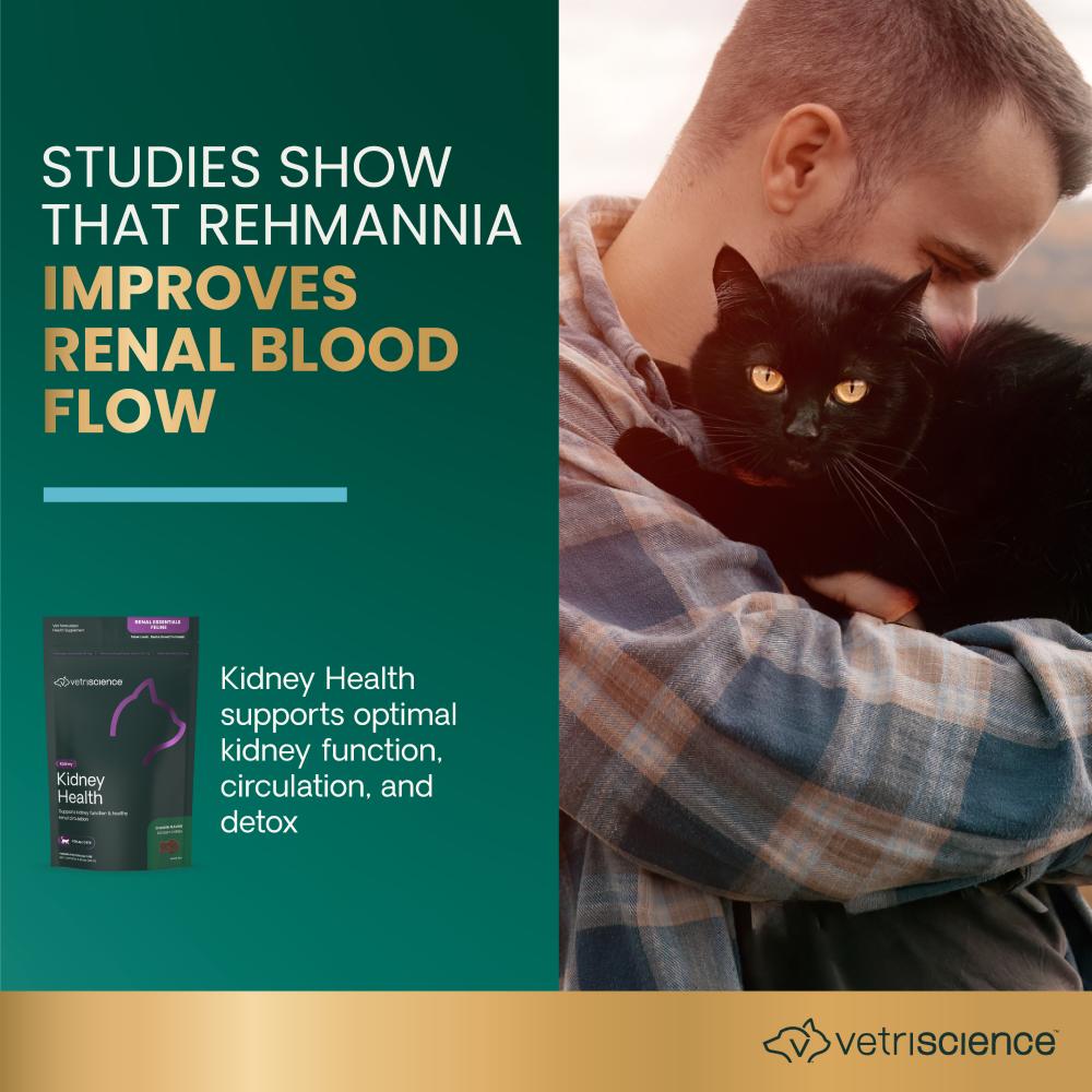 VETRI-SCIENCE-RENAL-ESSENTIALS-FELINE-120-CHEWS