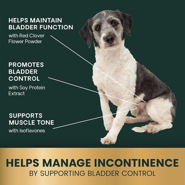 VETRI-BLADDER-BITE-SIZED-60-CHEWS