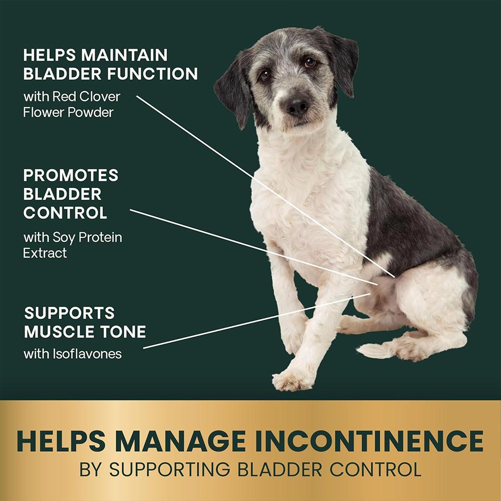 VETRI-BLADDER-BITE-SIZED-60-CHEWS