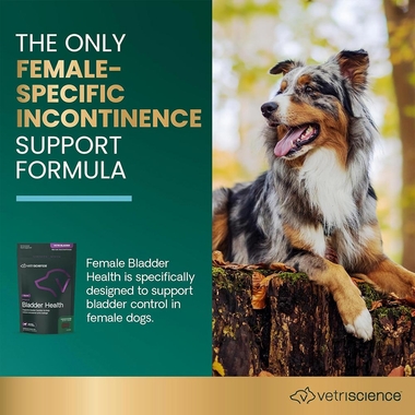 VETRI-BLADDER-BITE-SIZED-60-CHEWS