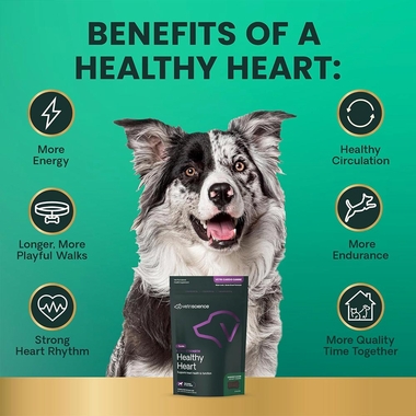 VETRI-CARDIO-CANINE-60-CHEWS