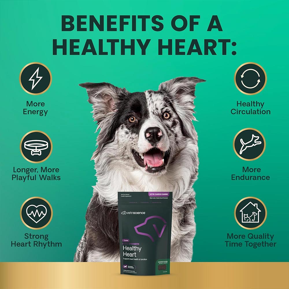 VETRI-CARDIO-CANINE-60-CHEWS