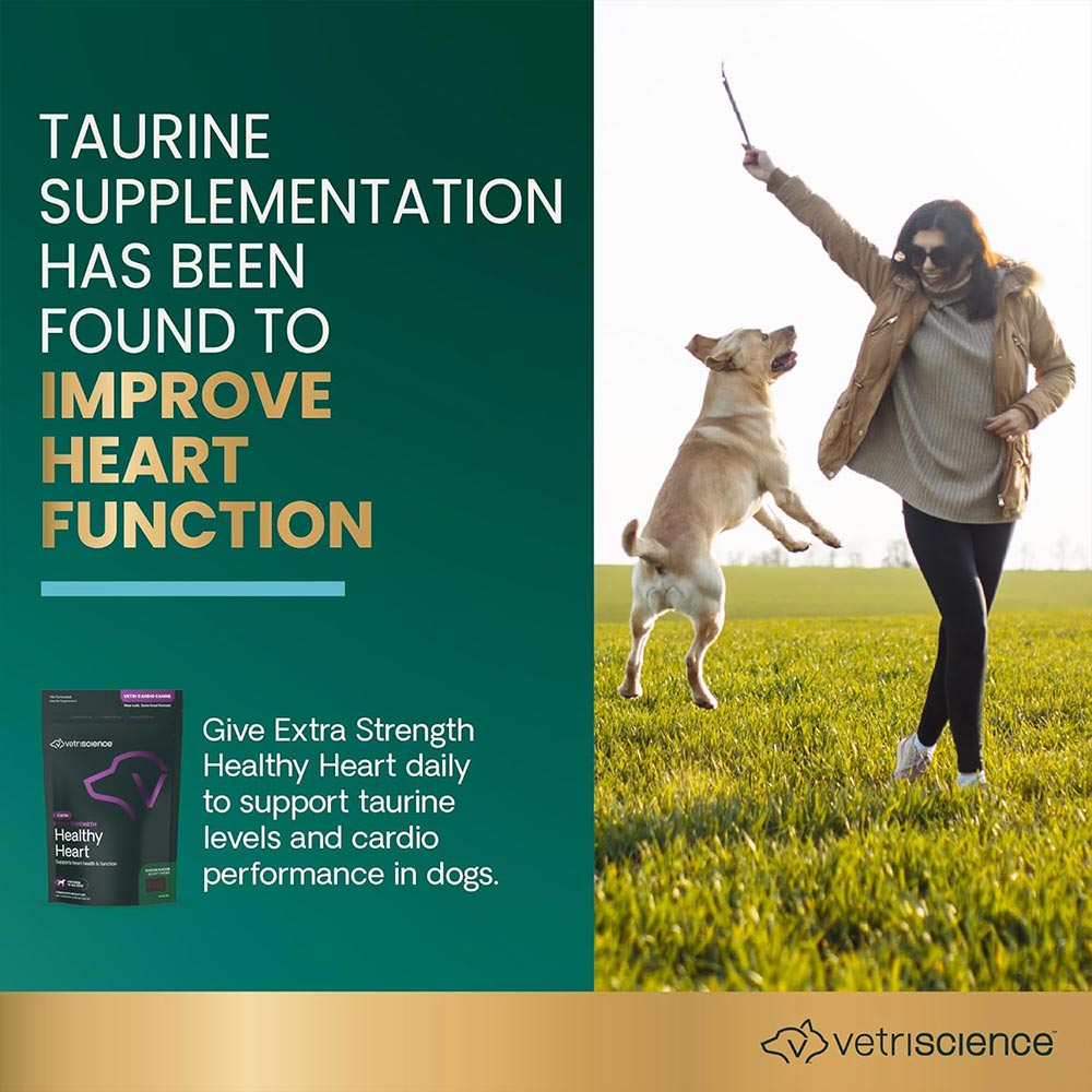 VETRI-CARDIO-CANINE-60-CHEWS