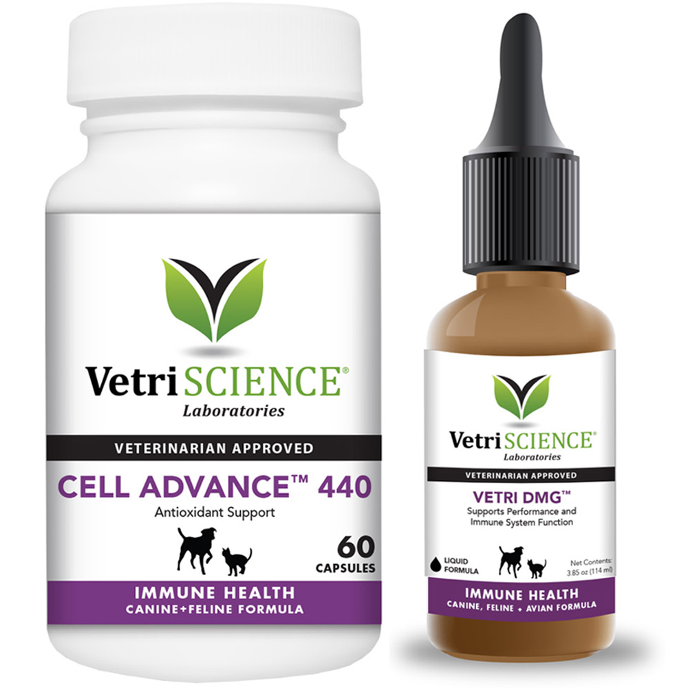 VetriScience Vetri-DMG