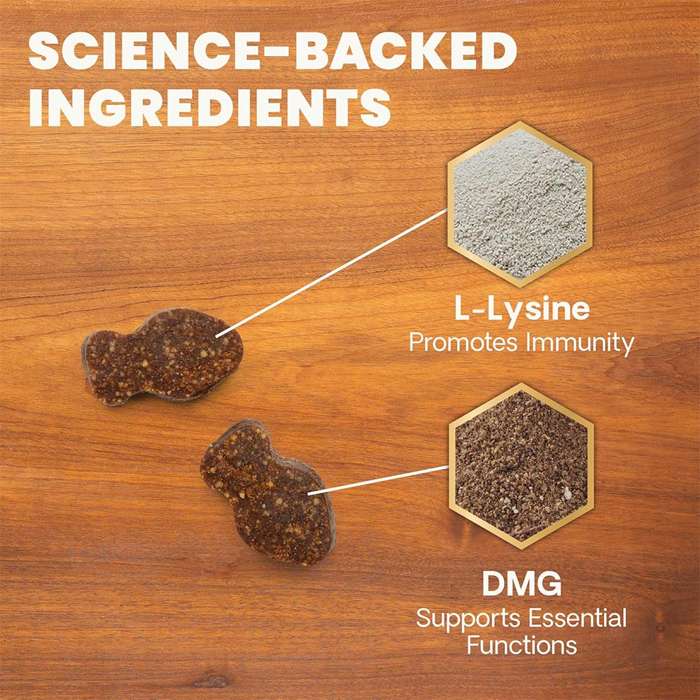 VETRI-SCIENCE-VETRI-LYSINE-PLUS-120-CHEWS