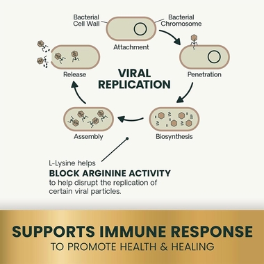 VETRI-SCIENCE-VETRI-LYSINE-PLUS-120-CHEWS