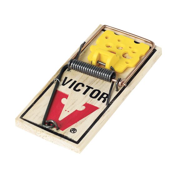 VICTORMOUSE2EAS
