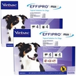 Virbac EFFIPRO Plus Flea & Tick Spot Treatment for Dogs, 23-44.9 lbs, 6 Doses (6-mos. supply)
