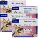 Virbac EFFIPRO Plus Flea & Tick Spot Treatment for Dogs, 45-88.9 lbs, 12 Doses (12-mos. supply)