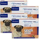 Virbac EFFIPRO Plus Flea & Tick Spot Treatment for Dogs, 5-22.9 lbs, 12 Doses (12-mos. supply)