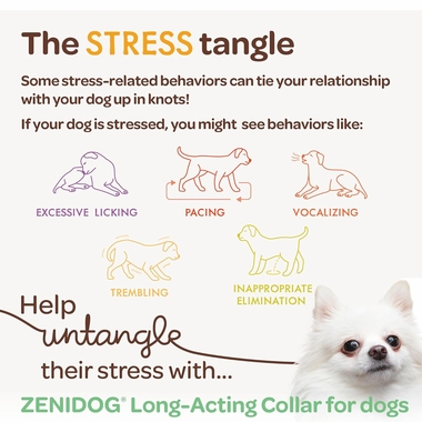 VIRBAC-ZENIDOG-CALMING-COLLAR-MD-LG-DOG-1-CT