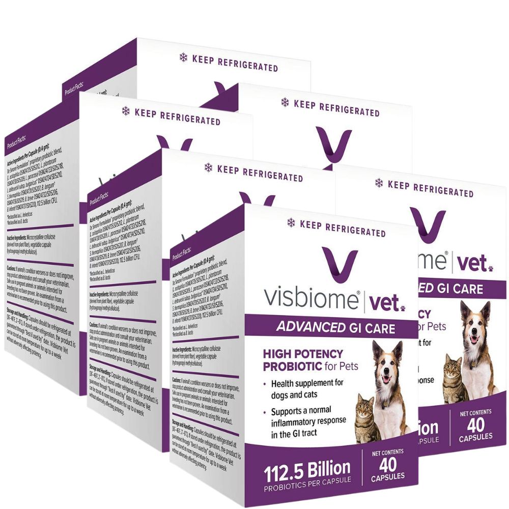 VISBIOME-VET-HIGHPOTENCY-PROBIOTICS-FOR-PETS-240CAPS