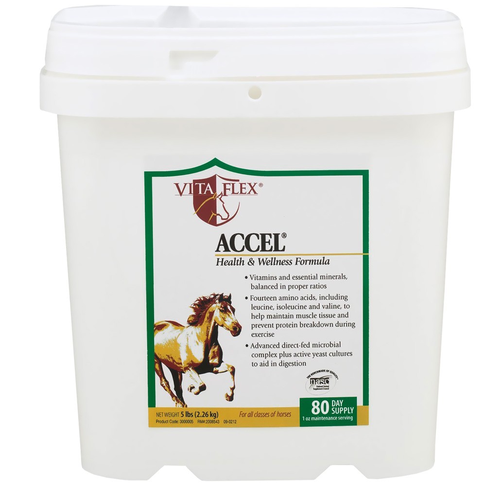 Vita Flex Horse Supplement