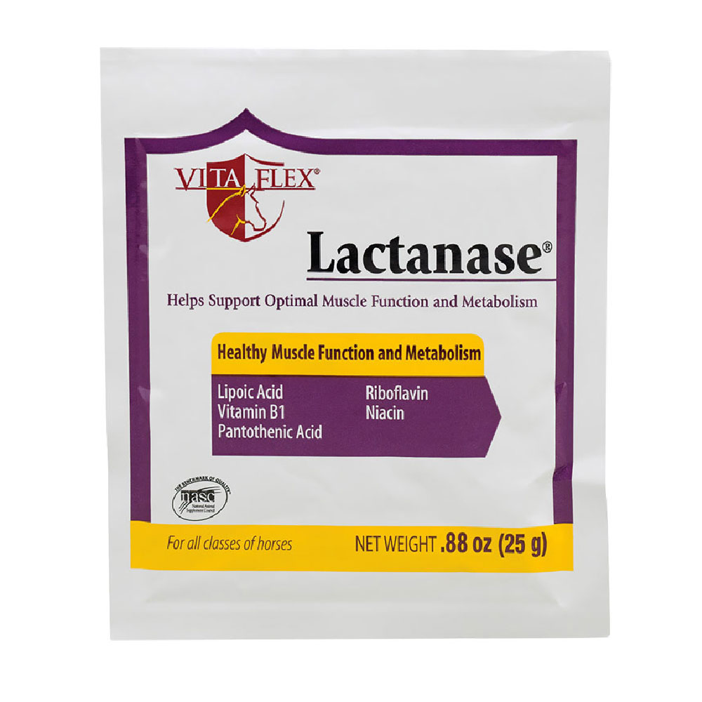 VITA-FLEX-LACTANASE-PACKET-25-G