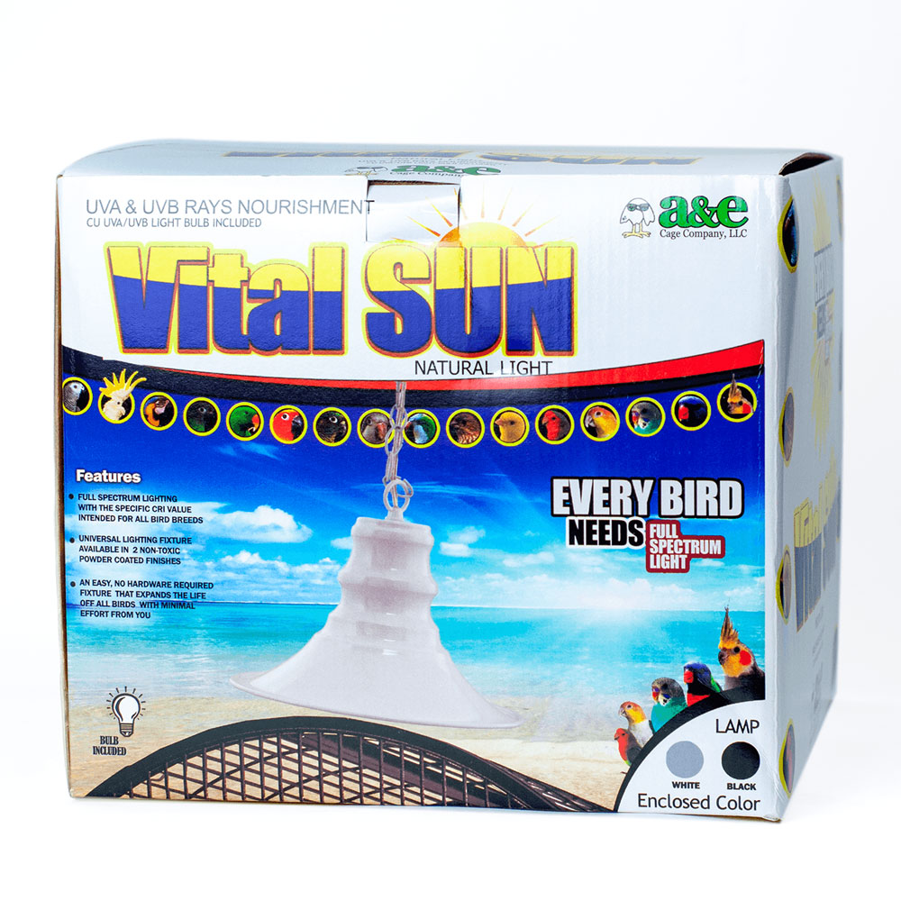 VITAL-LIGHT-WITH-CHAIN-BLACK