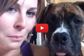 Wait Until You See What This Dog Thinks Of Selfies!