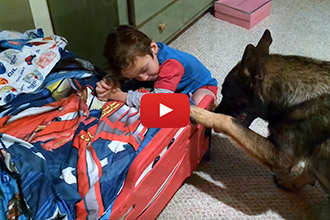 Watch Baron The German Shephed Say Goodnight to His Tiny Human
