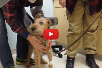 Watch How Happy He Is To See His Family After Getting His Eyesight Back!