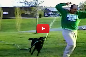 Watch This Dog Get His Owner Back With The Hose!