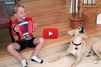 Watch This Dog React Hilariously To This Kid's Music
