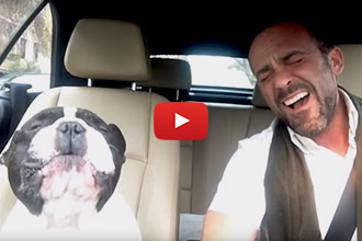 Watch This French Bulldog Sing A Duet With His Human