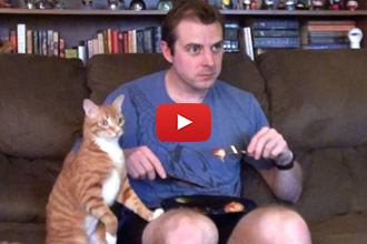 Watch This Guy Try To Eat With His Cat Around!