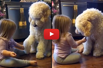 Watch This Little Girl Teach Her Dog This Heartwarming Trick