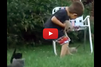 Watch This Sweet Little Kid Attempt To Round Up Kitties