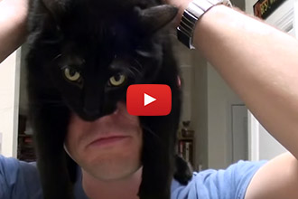 Watch This Video To Find Out How Your Cat Has Trained You!
