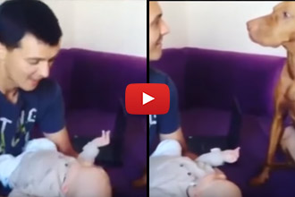 Watch What The Dog Does When Dad Leans In To Kiss The Baby!