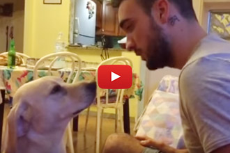 We Aren't Quite Sure What This Dog Did Wrong, But He Is Very Sorry!