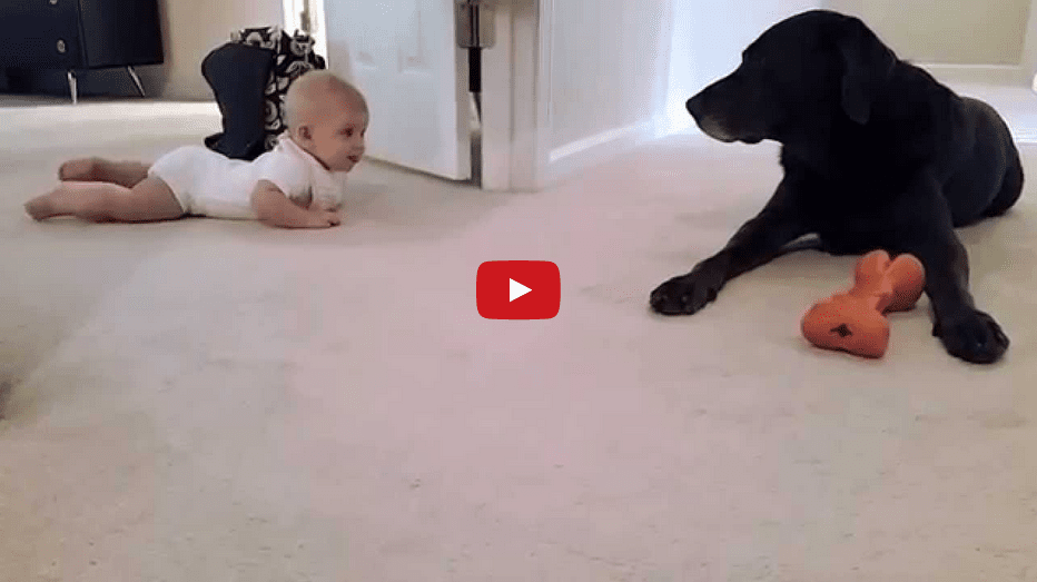 Welcome the New Year with This Baby's First Crawl! The Ending is TOO Cute!!