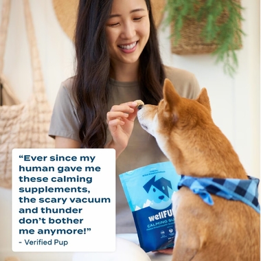 WELLFURST-FREEZE-DRIED-CALMING-DOGS-2-1OZ