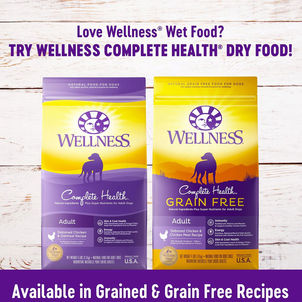 Wellness Lamb & Beef Stew with Brown Rice & Apples Canned Dog Food, 12.