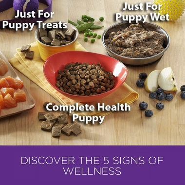 WELLNESS-PUPPY-BITES-LAMB-SALMON-3-OZ