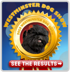 Westminster Dog Show 2013