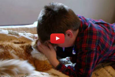 What an Incredible Reunion of a Boy and His 11-Year-Old Cat! Get out the Tissues!!