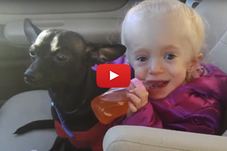 What Better Life For A Shelter Dog Than To Become The Guardian Of His Own Little Angel!