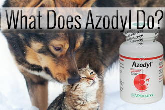 What Does Azodyl Do?
