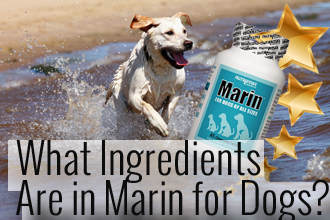 What Ingredients Are Used in Marin for Dogs?
