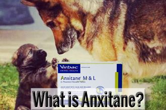 What is Anxitane for Dogs?